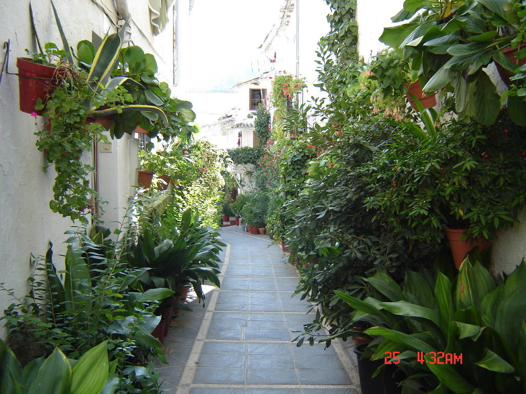 Apartamento Ruralguejar Exterior foto